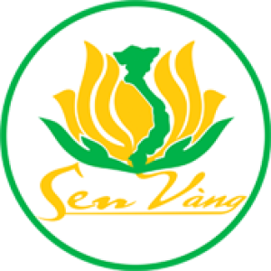 Công văn 1295 phê duyệt DTM
